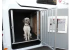 Bild 14: in Döbeln OT Beicha Wohnmobil mieten