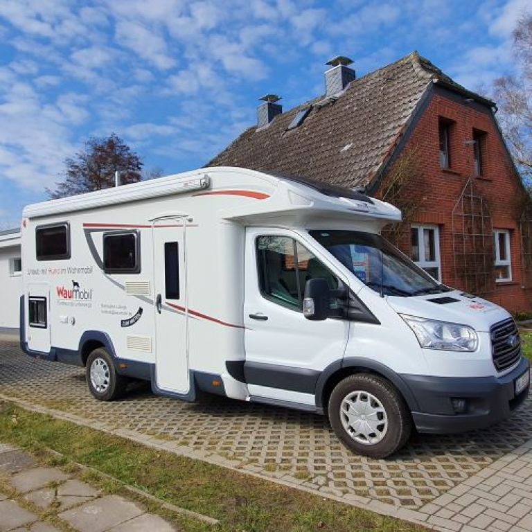 Bild 1: Roller Team Auto-Roller 285 P