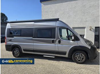 Womondo Lifestyle 600